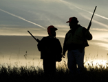 chasse