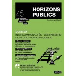 Horizons publics 45